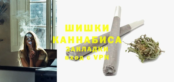 метадон Гусев
