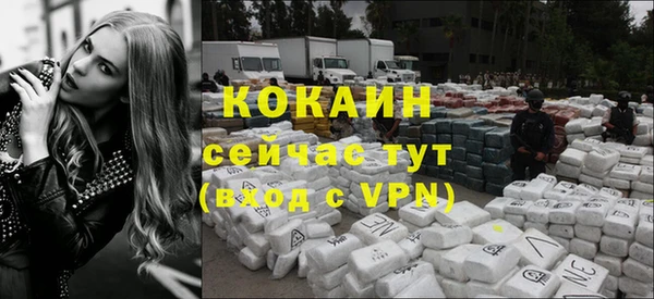 метадон Гусев