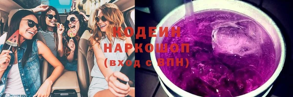 метадон Гусев